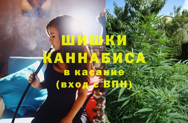 spice Анива