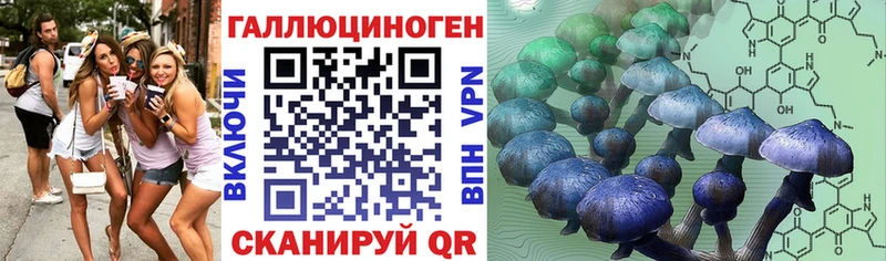 Галлюциногенные грибы Cubensis  мориарти какой сайт  Королёв  ОМГ ОМГ ONION 